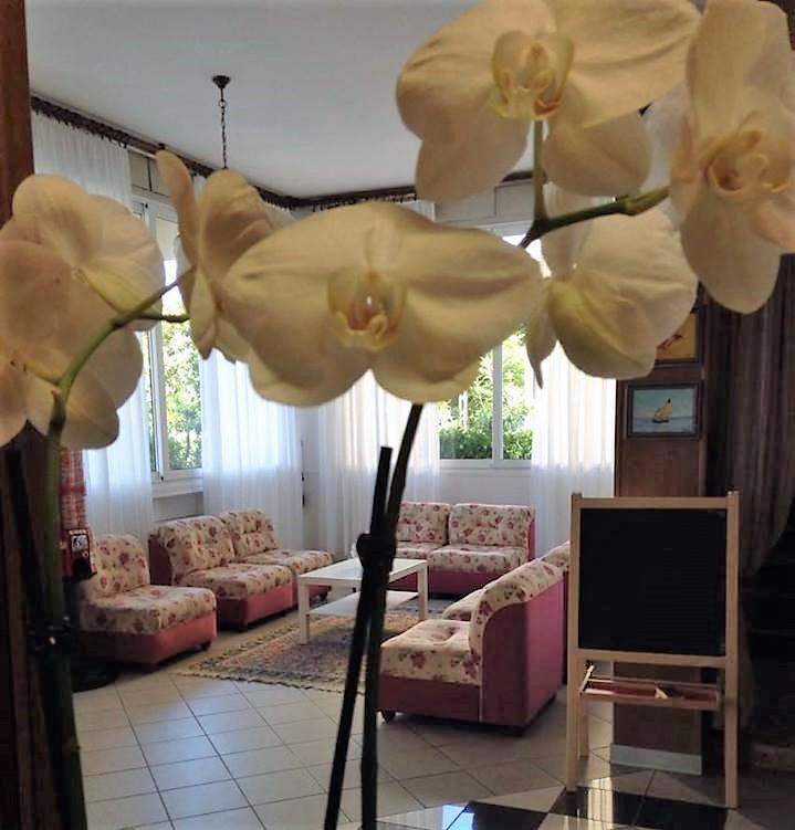 Hotel Primula Lido Di Savio Esterno foto